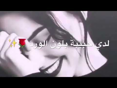 اجمل اغنية تركية يا من يتساقط الحب مع الترجمة