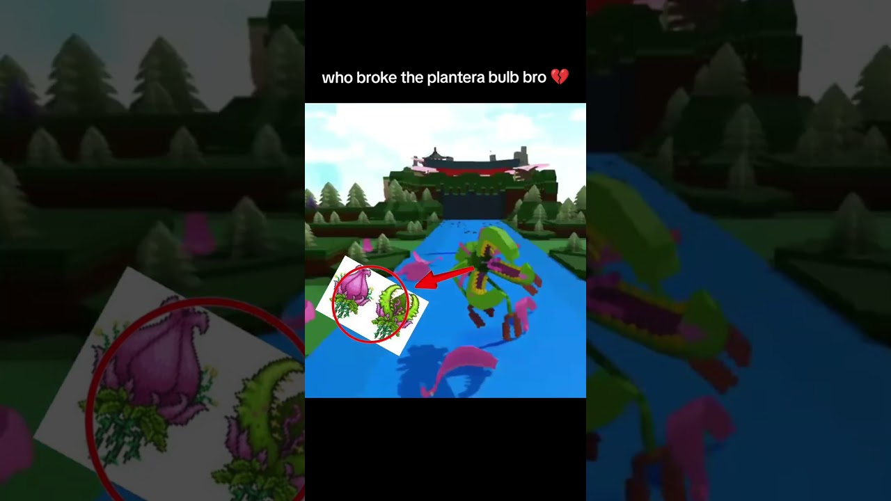 who broke the bulb 💀💀