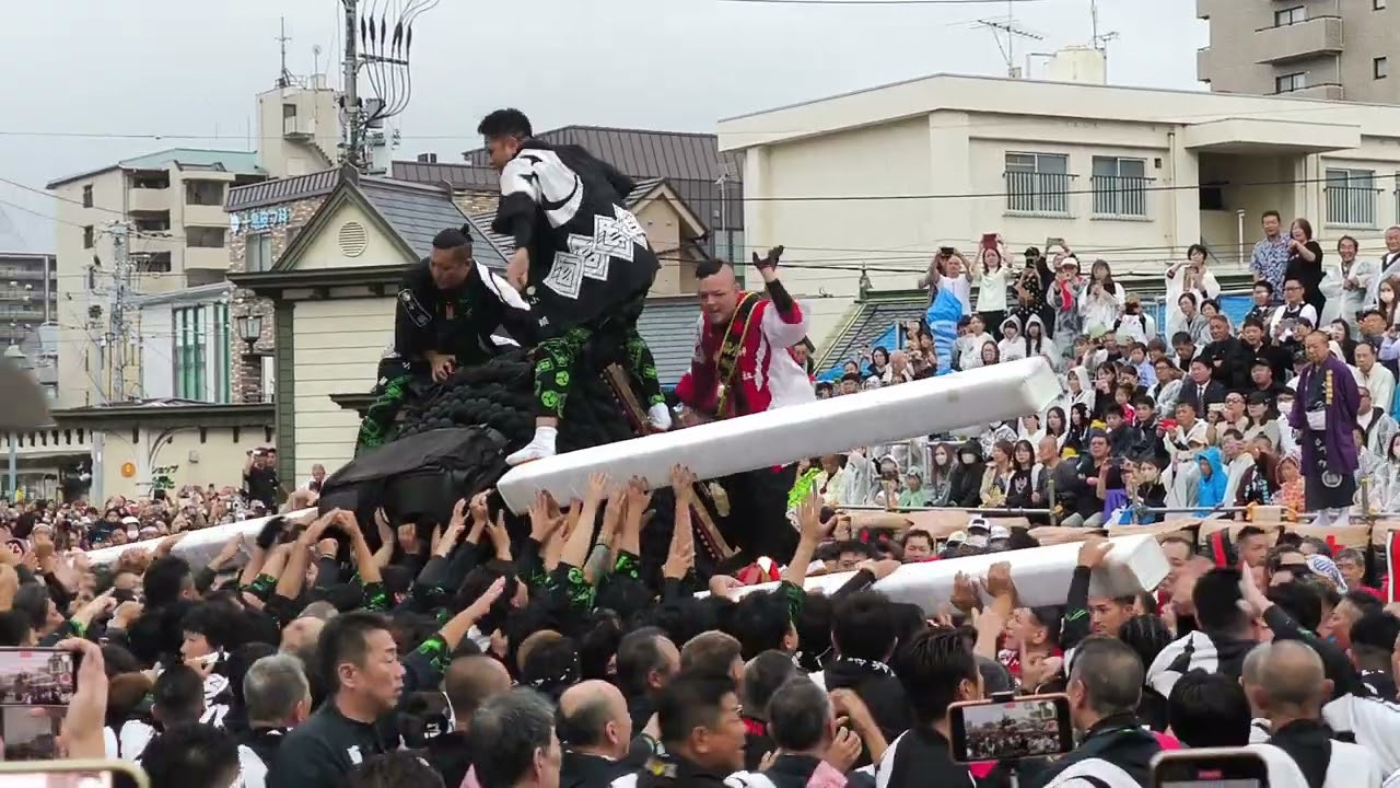 【喧嘩】【乱闘】かき棒が折れる程の大喧嘩！松山秋祭り2024道後本宮 道後村大神輿 vs 小唐人大神輿 道後鉢合わせ喧嘩神輿