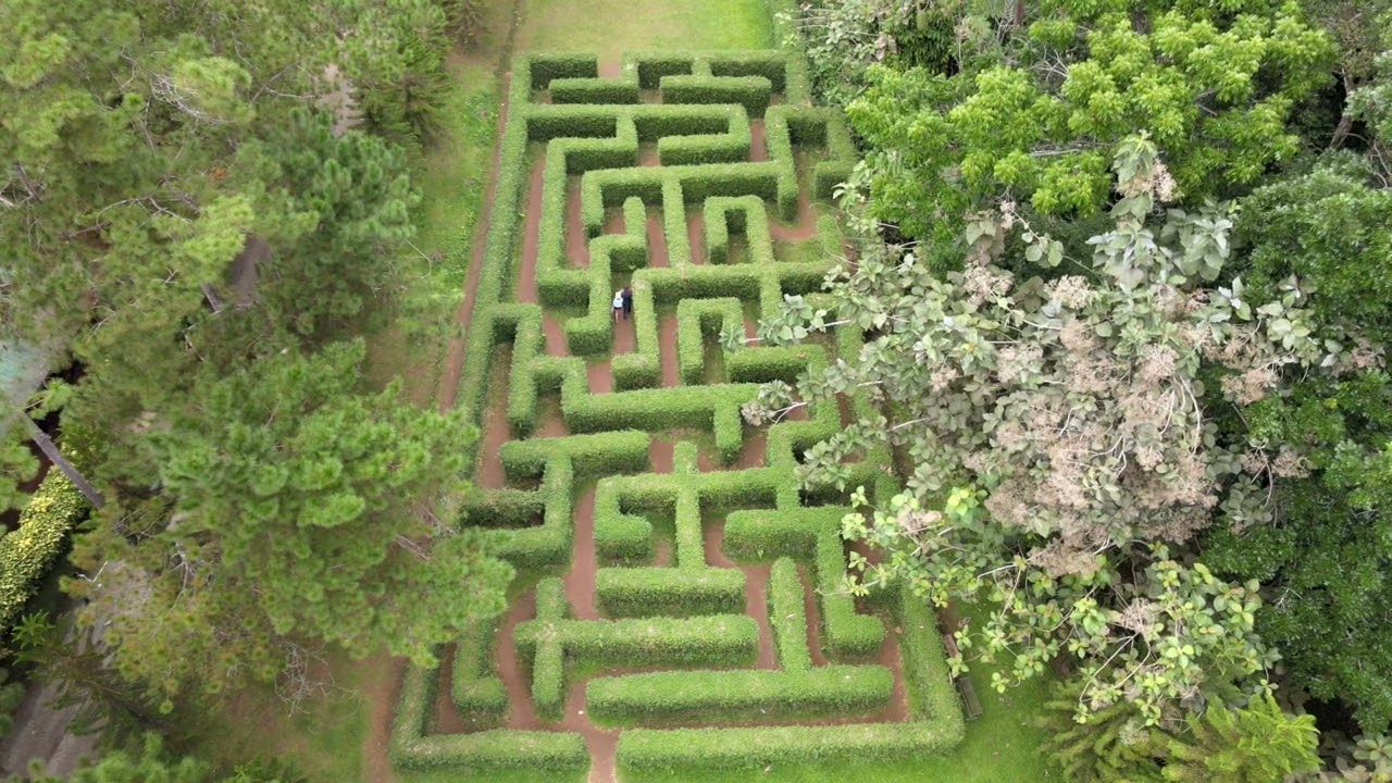 Bamboo Maze at Eden Nature Park & Resort