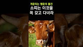 2024년 갑진년 소띠 운세! 소띠를 대박나게하는 행운의 물건! 올해는 이 물건을 꼭 챙기세요! #띠별운세,…