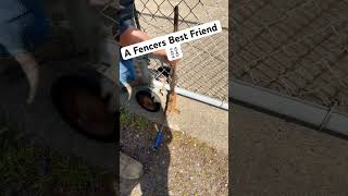 “The Fencers Best Friend “ #Chainlink #Fence #Puljak