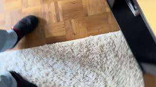 IMG 3604