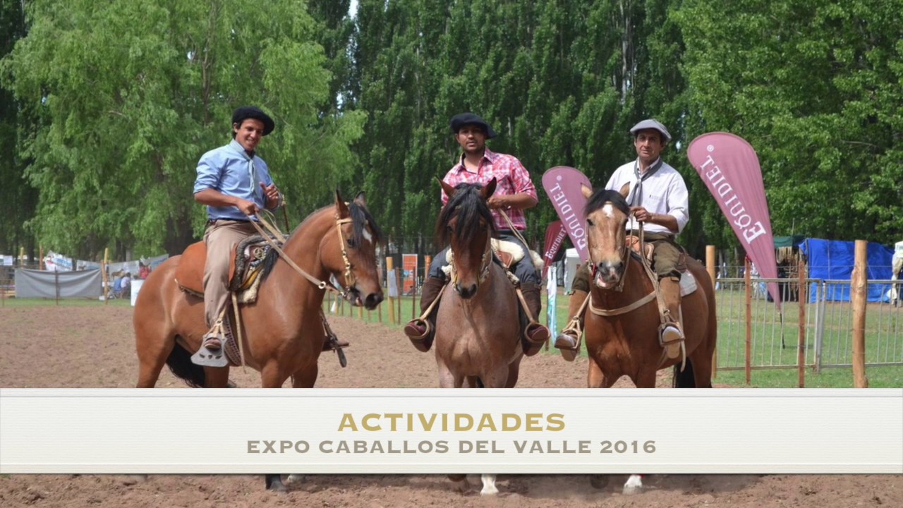 EXPO CABALLOS DEL VALLE RESUMEN 2016