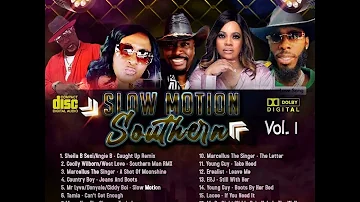 SLOW MOTION SOUTHERN SOUL VOL 1 NO TALKING