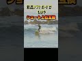 覚醒する初心者用ソフトボード #サーフィン