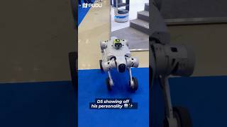 Download Lagu Teach your robot dog a trick ✅ Deal with his attitude ✅ Still love him anyway ✅🤖👑  #robot MP3