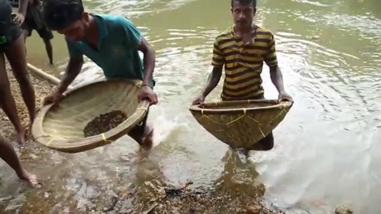 Michael Arnstein President of The Natural Sapphire Company staff profile