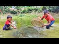 Wow!Amazing Polo Fish Trap 2023~ Smart Little Boy hunting Fish With Polo From Village Bill - Part-03