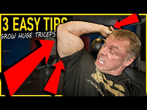 3 Tips for