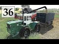 Farming Simulator 19 УБИРАЕМ УРОЖАЙ И ПРОДАЁМ ТОВАР. Фермер в с. ЯГОДНОЕ # 36