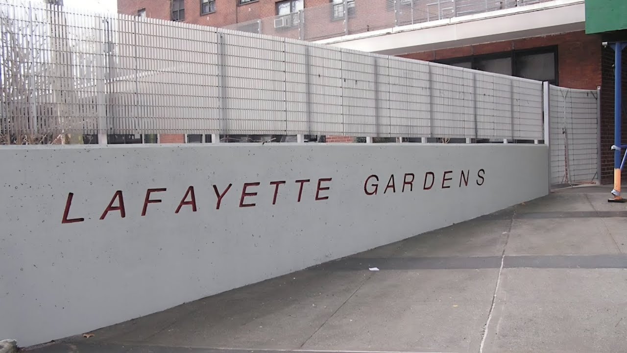 Проекты Lafayette Gardens в Бруклине, Нью-Йорк 🗽 УЗНАЙТЕ ИСТОРИЮ ХИП-ХОПА