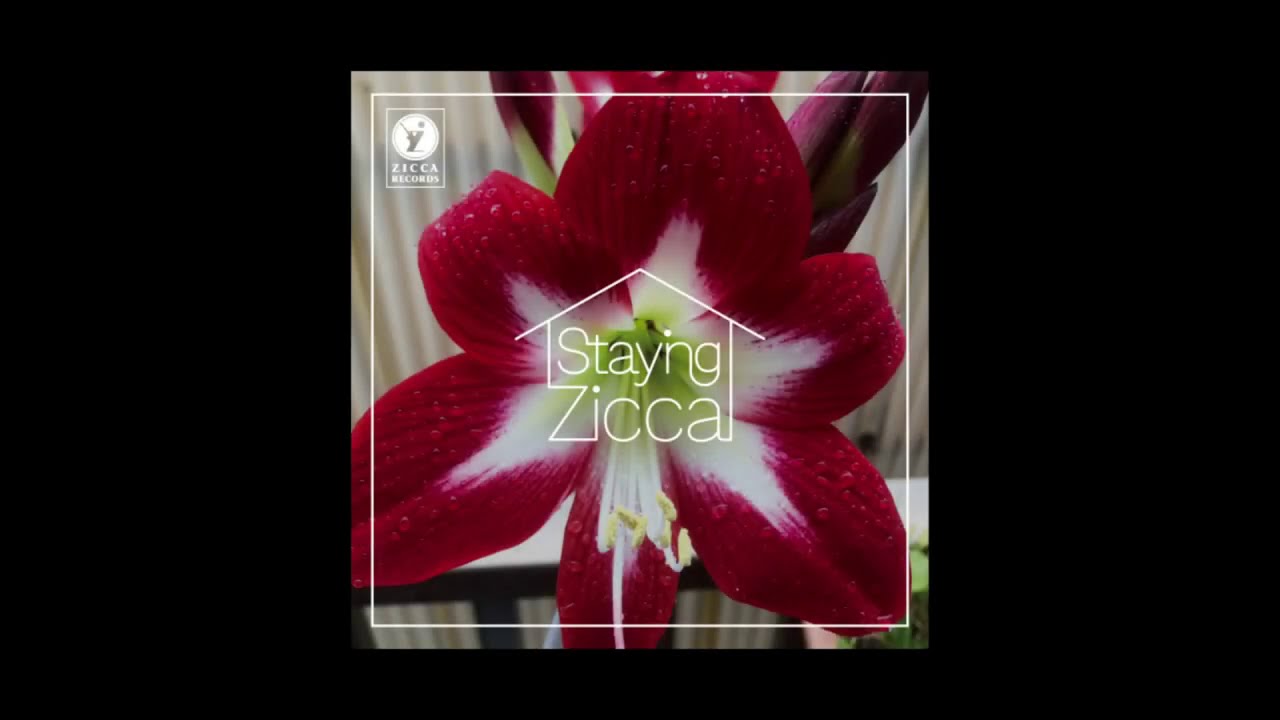 JAY - Char [Official lyric video]  from "STAYING ZICCA"