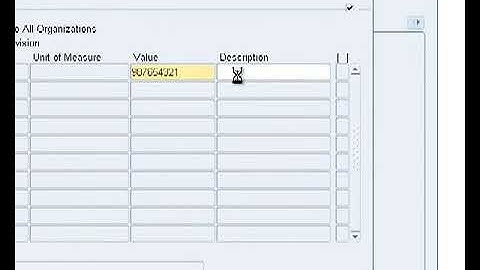 Creating an Item in Oracle Inventory%2C Oracle Applications Training