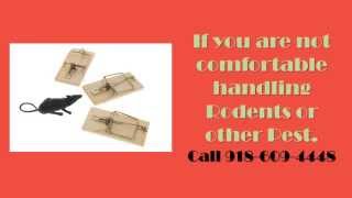 24hr emergency restaurant pest control-broken arrow OK-918-609-4448