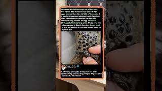 100 Babies Erupting From Her SKIN! 🐸 #Nature #Wildlife #Weird