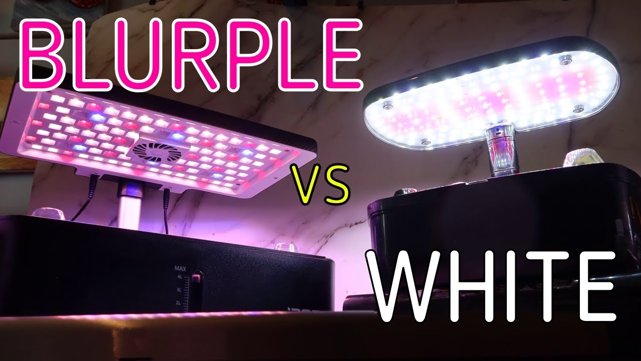 Indoor Hydroponic Gardens iDOO vs AEROGARDEN