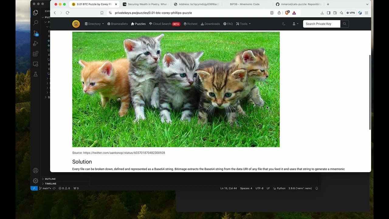 Bitcoin Puzzle Cats - YouTube