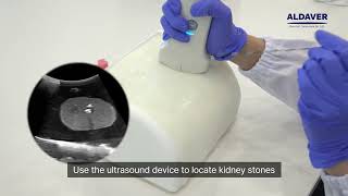 How to use: PCNL Simulator - ALDAVER Surgical Simulators