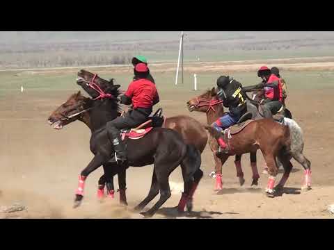 Видео: Қызылжар Командалық Көкпар #Қазанкөкпар