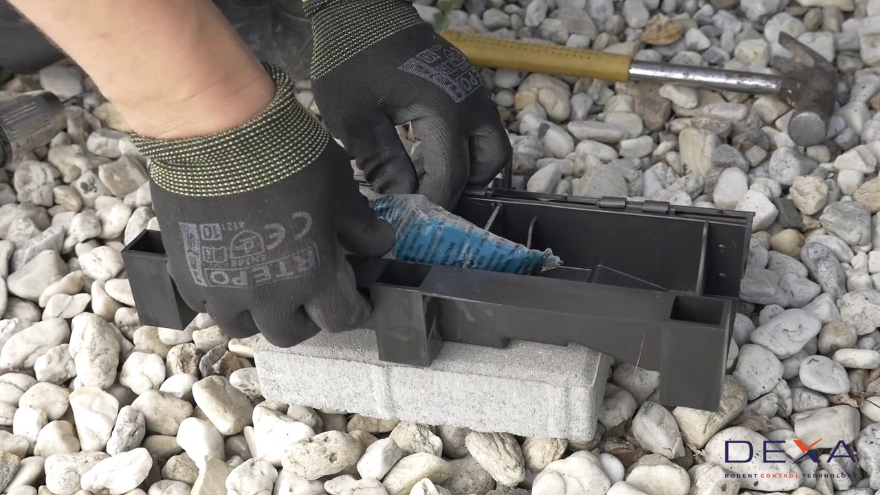 Dexa Rodent bait station