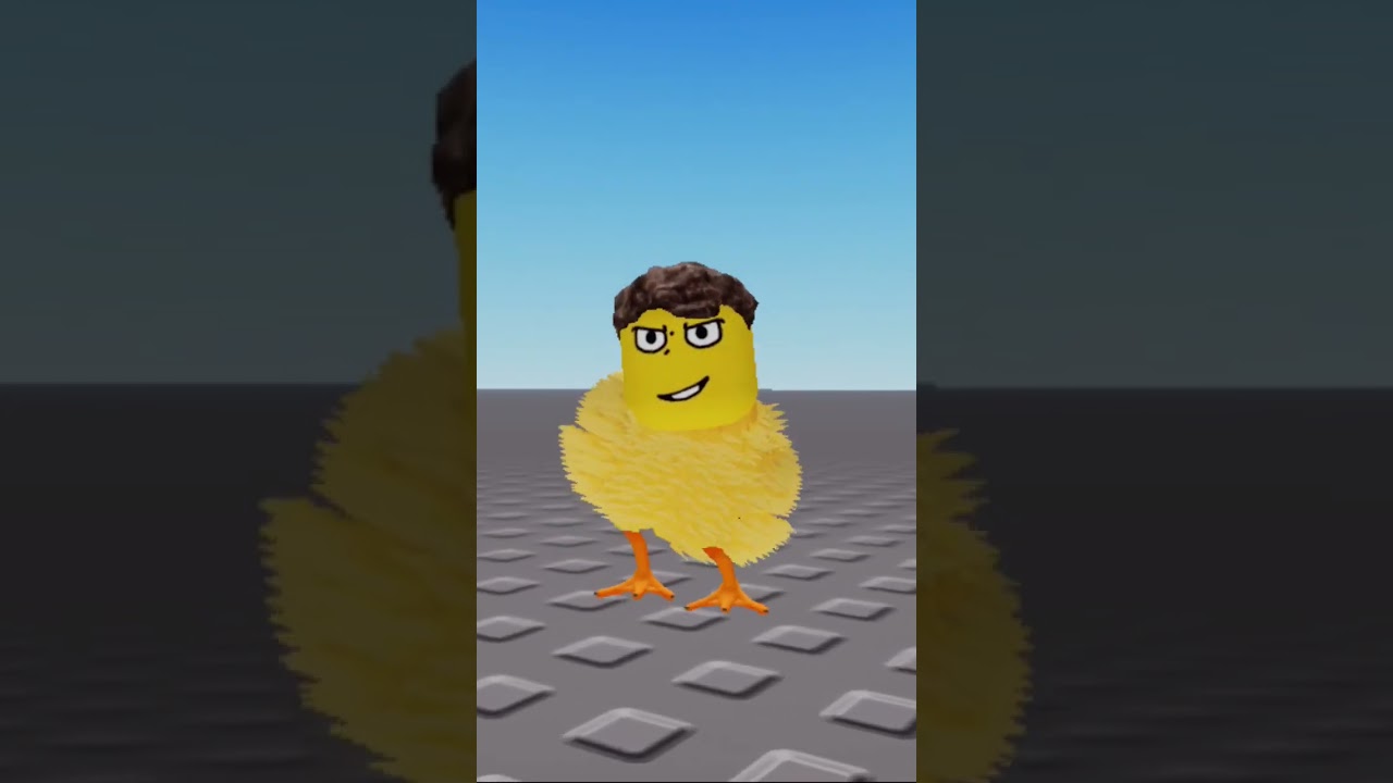 shedletsky is chicken 