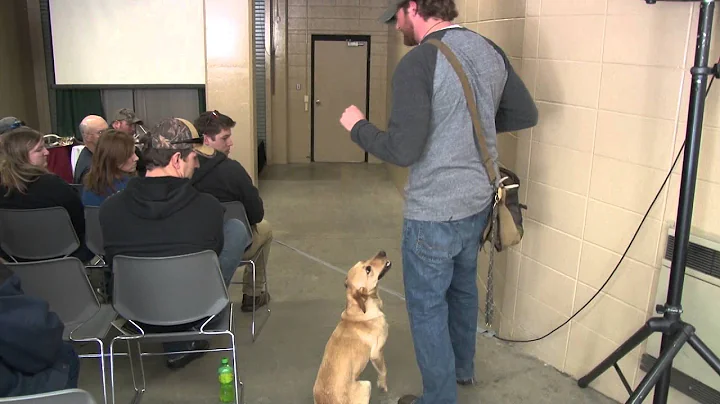 Dog Bone Shed Antler Dog Training Seminar- By Jere...