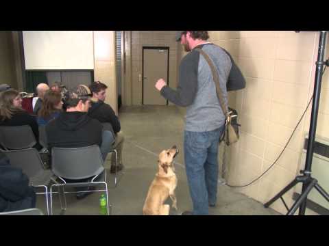 dog-bone-shed-antler-dog-training-seminar--by-jeremy-moore-(everythingsheddog.com)