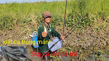 xiệt cá điểm lạ không ngờ trúng đậm cá lóc cá trê cá trạch đồng quá ngon rồi