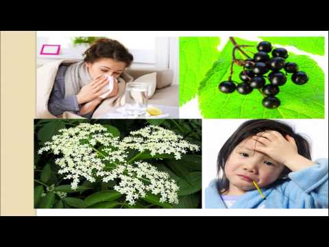 Herbal Spotlight -