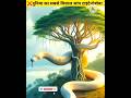 दुनिया का सबसे विशाल सांप टाइटेनोबोवा।#facts #trending #shorts