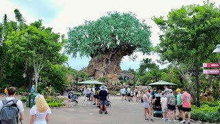 Disney's Animal Kingdom 2026 Walkthrough Exiting The Park in 4K | Walt Disney World Orlando Florida