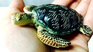 Green Turtle 3D Puzzle ~ Incredible Science