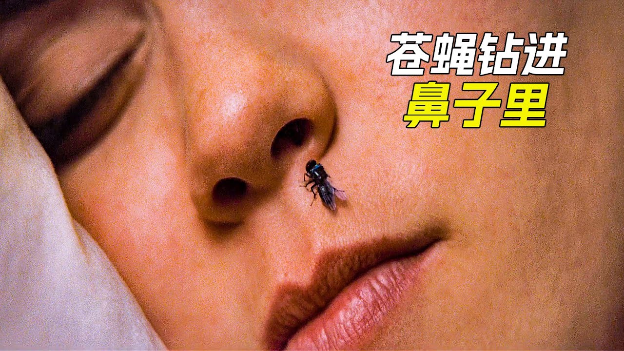 蒼蠅鑽進女人鼻子裡後，又爬了出來，科幻，奇幻，電影，解說，獵奇，冒險，短片，short film