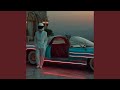 Into The Velvet Nights