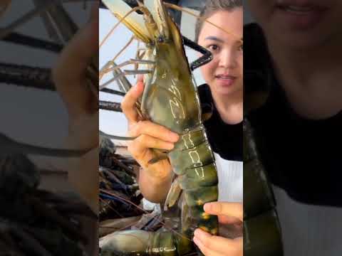 New Vip Jhinge Fish Shots Video Status