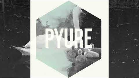PYURE - Wannier - Jos van Rens Creatief ©PYURE-Limbuganda Music