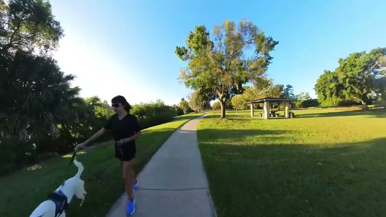 Morning Bike Ride Bliss