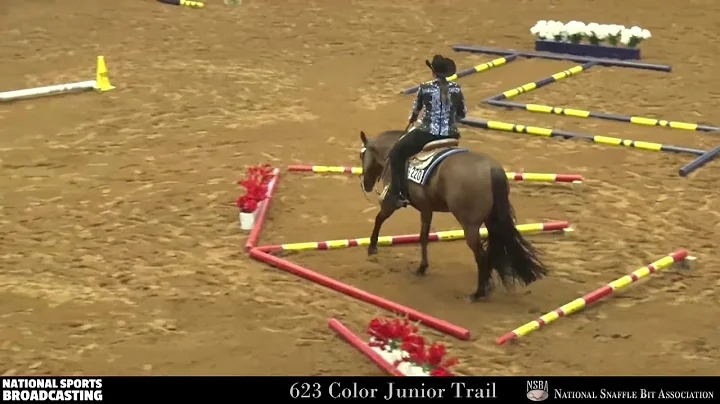 190815 NSBA Trail  Michelle Speck on Keeping It Fa...