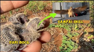 This baby bird is growing really fast 😅