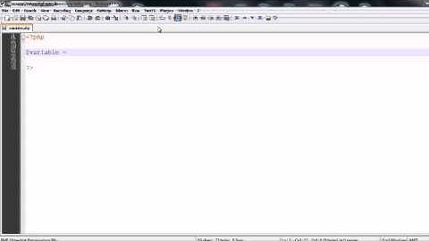 PHP Basics: Variables