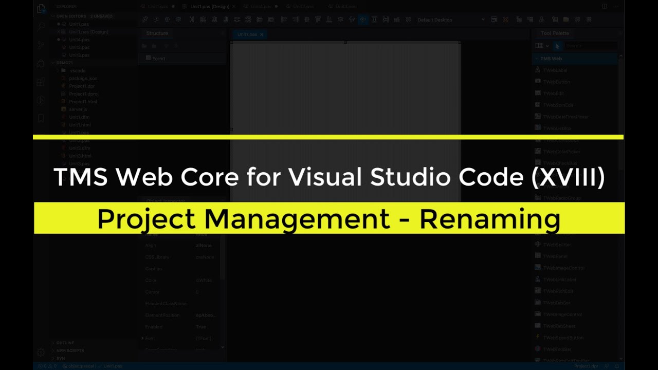TMS Web Core for Visual Studio Code (XVIII) Project Management ...