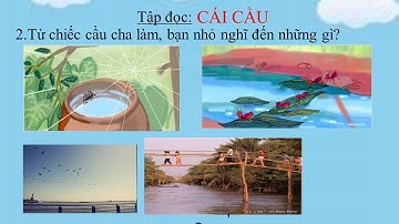 Tuan 22 Tập đọc: CÁI CẦU và Chính Tả: Ê-ĐI-XƠN