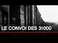 De Compiègne à Auschwitz : le convoi des 31 000 - Toute l'Histoire