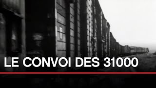 De Compiègne à Auschwitz : le convoi des 31 000  Toute l'Histoire