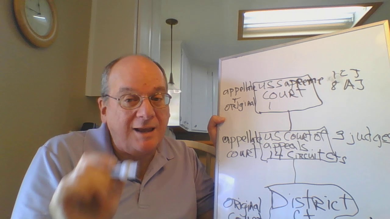 9 Constitution Article 3 Question A Youtube