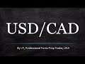 Trading the USD CAD - We All Nerd Out Together