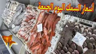 ثمن السمك بالمغرباليوم الجمعة 30 يناير 2026 De Qualité À Prix Abordable