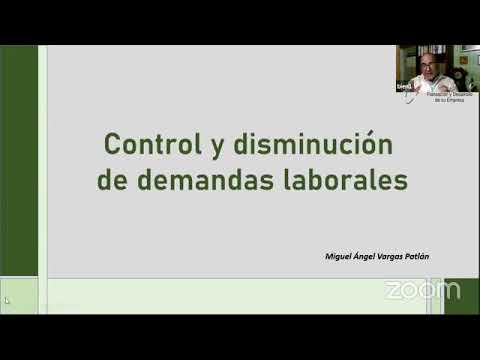 ¿El Seguro Cubre Demandas De Derecho Laboral?