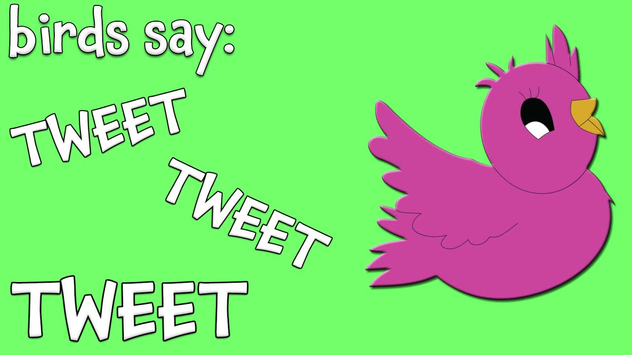 These Are the Sounds of Animals | Educational Song for Toddlers | Kids Learning Videos